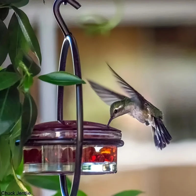 1pc//2pcs/3pcs Beautiful Hanging Hummingbird Feeder, Metal Bottle Humming Bird Feeder With Circular Metal Holder And Perch