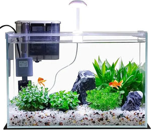 5-Gallon Glass Betta Fish Tank Starter Kit Including Filter, Lighting, and Lid