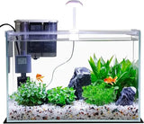 5-Gallon Glass Betta Fish Tank Starter Kit Including Filter, Lighting, and Lid
