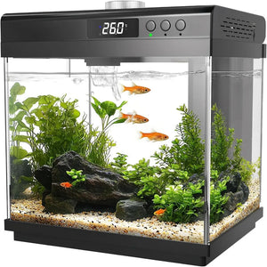 AQQA 3.7 Gallon Aquarium Starter Kit Small Glass Fish Tank with Filter and Light (10 Colors Adjustable) Desktop Self-Cleaning Be