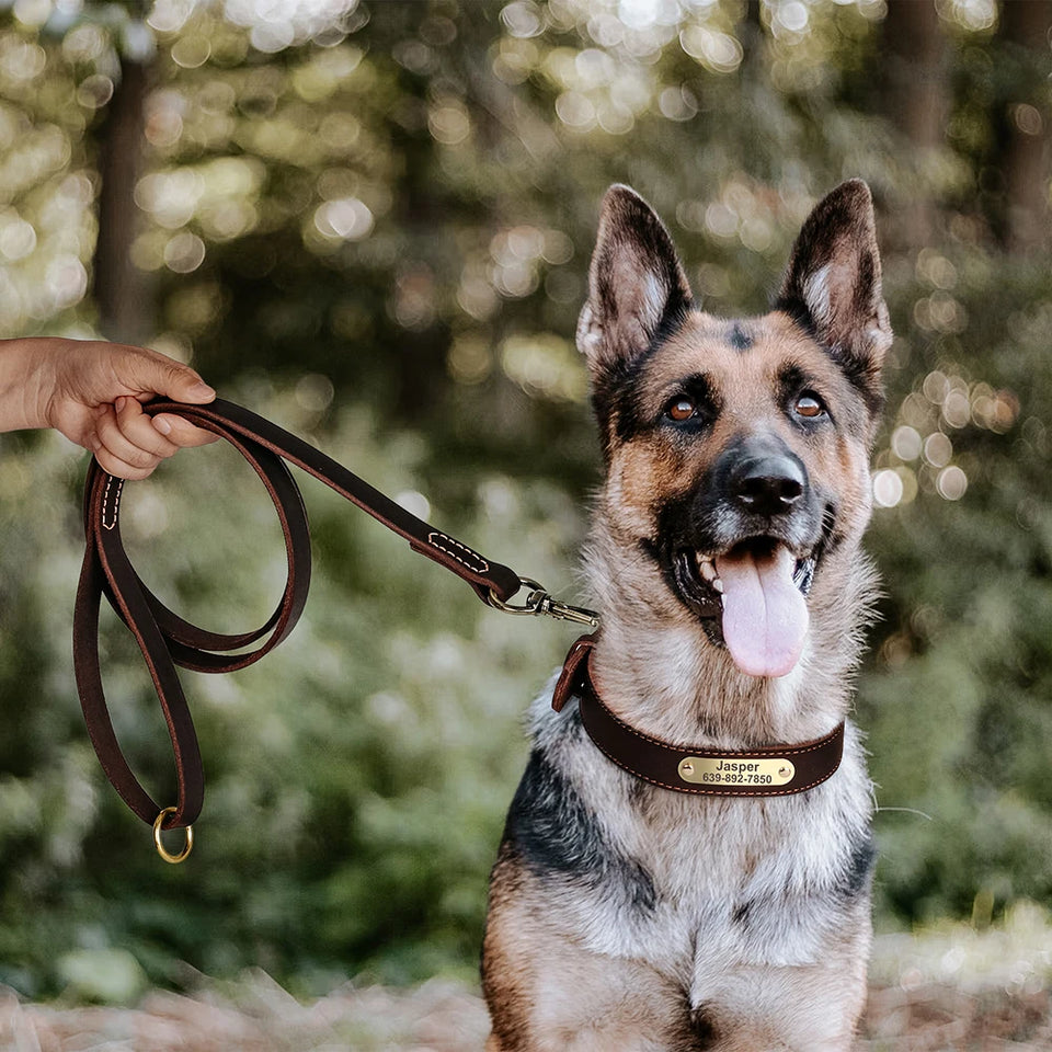 Personalized Dog Collar Leash Set Durable Genuine Leather Dog Collars Engraved Pet ID Necklace With Lead For Small Large Dogs