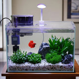 5-Gallon Glass Betta Fish Tank Starter Kit Including Filter, Lighting, and Lid