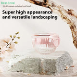 ♥♥♥Plastic Parrot Feeder,Transparent Bird Food Box,Splash-proof Water Feeder