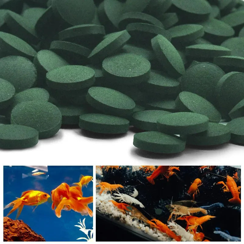 100/1500pc High Purity Spirulina Tablets Spiral Seaweed Enrichment Favorite Pets Food Fish Crystal Red Shrimp Fish Food Aquarium
