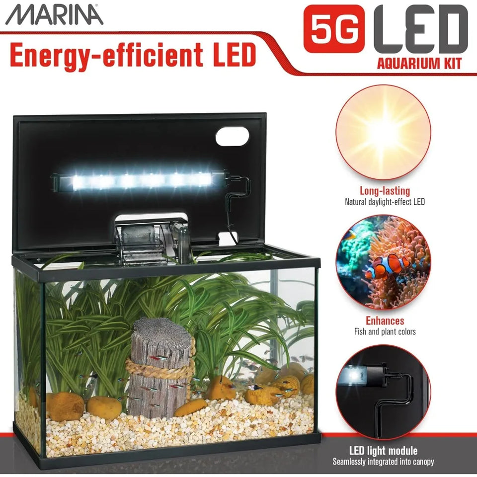 Beginner-Friendly 5 Gallon LED Aquarium Kit for New Fish Enthusiasts