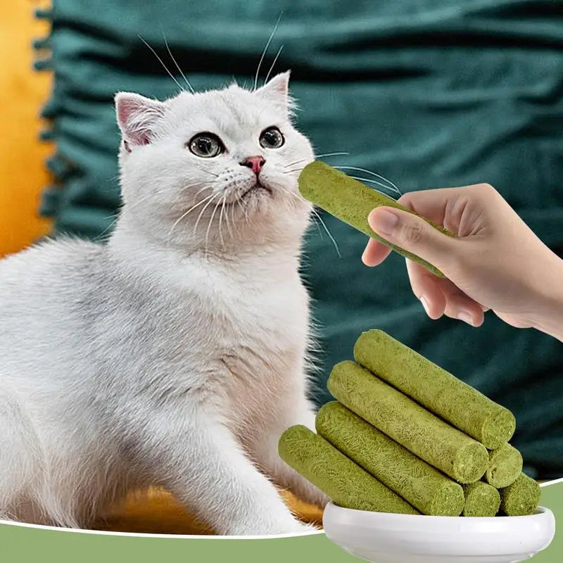 Cat Grass Teeth Grinding Stick Pet Snacks Hairball Removal Mild Hair Row Ready To Eat Baby Cat Teeth Cleaning Cat Grass Stick