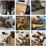 Dog Bone Chews Toys Nearly Ind estructible Natural Non-Toxic Anti-bite Puppy Toys For Small Medium Large Dog Pet Chew Toy