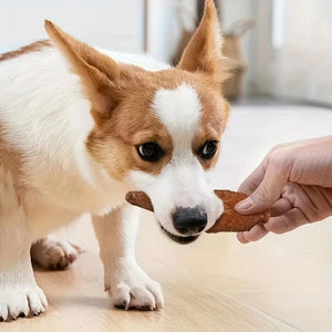 12.7oz Natural Jerky Dog Treat Chewable Protein Snacks with Chicken Turkey Salmon Beef Duck Dental Health Treat for All Dog Size