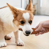 12.7oz Natural Jerky Dog Treat Chewable Protein Snacks with Chicken Turkey Salmon Beef Duck Dental Health Treat for All Dog Size