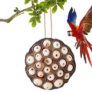 Lotus Pod-shaped Bird Parrot Anti Biting Natural Chew And Foraging Toy For Parakeet Cockatiel Entertainment Pet Supplies