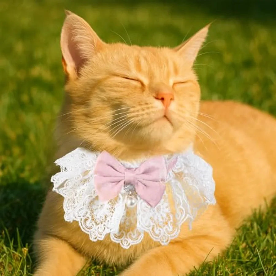Cat Bow Collar Breakaway Kitten Collar with Cute Bow Tie Girl Cat Collars Cats Princess Costumes Pink Outfit for Kitty and Some