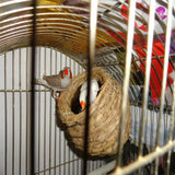 Birds Nest Straw Breathable Manual Bird Cage Bedding For Parakeets Interests Natural Fiber Simulation Birdhouse Resting Breeding