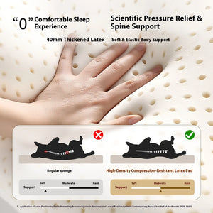 Autumn and Winter Dog Bed Latex Backrest Square Bed Cat Bed Dog Bed Small and Medium-Sized Dog Pet Bed All-Season Waterproof Dog