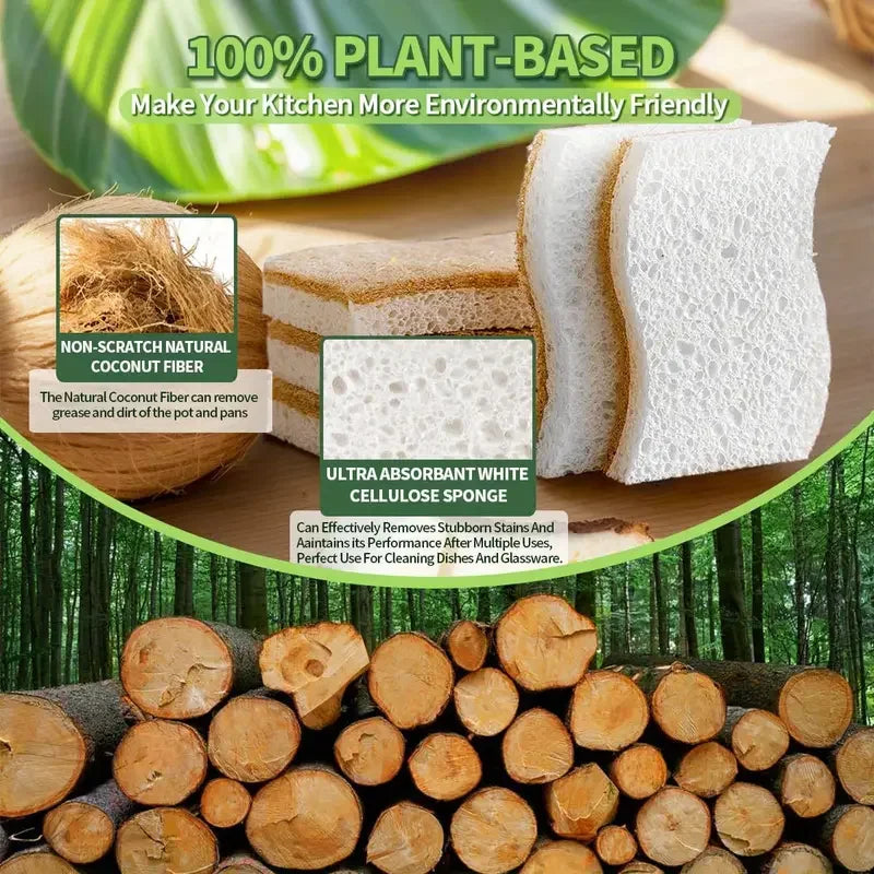 6/12Pcs Natural Kitchen Sponge Cellulose and Coconut Scrubber for Dishes Pack of Household Cleaning Sponges White