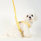 Adjustable Dog Harness Collar Leash Set Macarone Color, Reflective Small Dog Accessories for Puppy & Cat Supplies, Pet Walking