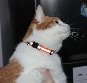 6-Pack Reflective Cat Collars with Bell, Safe Breakaway Nylon, Mixed Colors, Ideal for Cats, Includes Charms.
