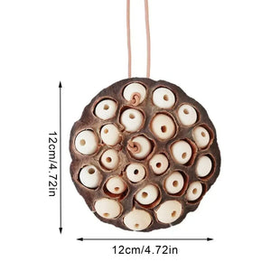 Lotus Pod-shaped Bird Parrot Anti Biting Natural Chew And Foraging Toy For Parakeet Cockatiel Entertainment Pet Supplies