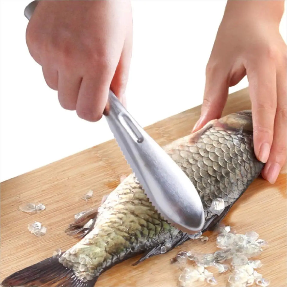 Stainless Steel Fish Scaler Remover - Sturdy Fish Scale Cleaner Descaler Tool- Reliable Fish Scale Cleaning Scraper