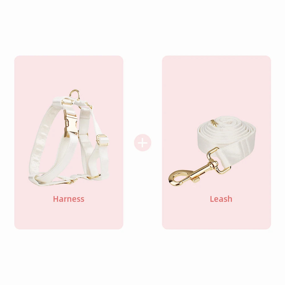Bowtie Dog Collar Leash Harness White Unique Style Necklace with Detachable Bow Tie for Puppy Small Medium Large Dogs Wedding