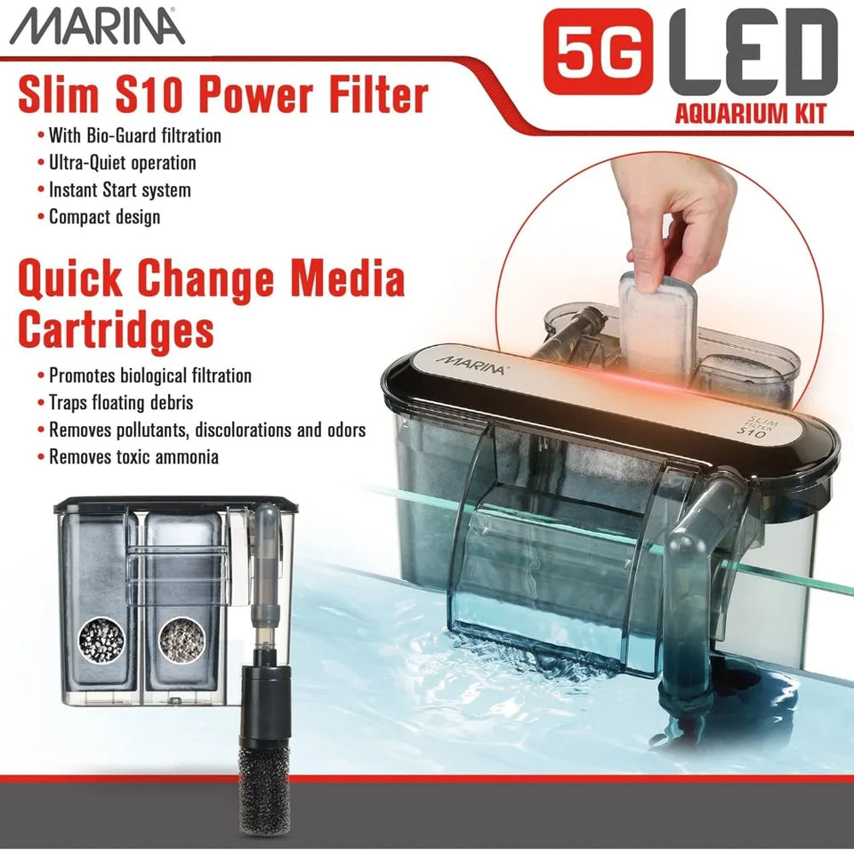 Beginner-Friendly 5 Gallon LED Aquarium Kit for New Fish Enthusiasts