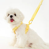 Adjustable Dog Harness Collar Leash Set Macarone Color, Reflective Small Dog Accessories for Puppy & Cat Supplies, Pet Walking