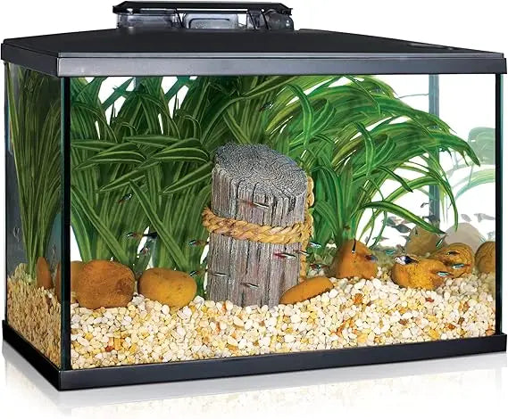Beginner-Friendly 5 Gallon LED Aquarium Kit for New Fish Enthusiasts