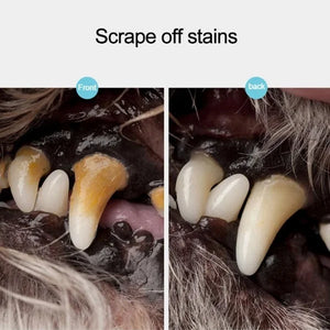 1pc Pet Tooth Clean Scraper Tartar Removal Dog Tooth Cleaning Cleaning Scraper Quick Cleaning Pet Dog Oral Tooth Scraper Tool