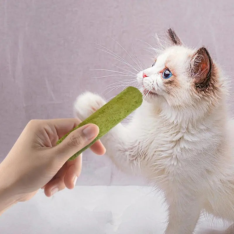 Cat Grass Teeth Grinding Stick Pet Snacks Hairball Removal Mild Hair Row Ready To Eat Baby Cat Teeth Cleaning Cat Grass Stick