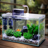 5-Gallon Glass Betta Fish Tank Starter Kit Including Filter, Lighting, and Lid