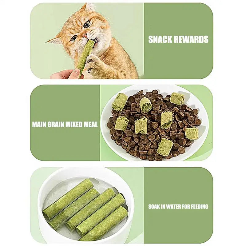 Cat Grass Teeth Grinding Stick Pet Snacks Hairball Removal Mild Hair Row Ready To Eat Baby Cat Teeth Cleaning Cat Grass Stick