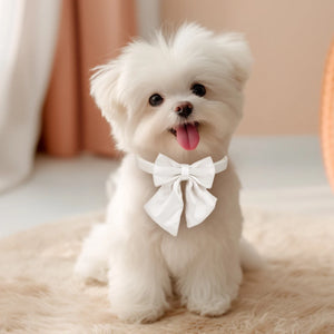 Bowtie Dog Collar Leash Harness White Unique Style Necklace with Detachable Bow Tie for Puppy Small Medium Large Dogs Wedding