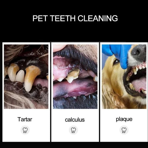 1pc Pet Tooth Clean Scraper Tartar Removal Dog Tooth Cleaning Cleaning Scraper Quick Cleaning Pet Dog Oral Tooth Scraper Tool