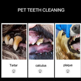 1pc Pet Tooth Clean Scraper Tartar Removal Dog Tooth Cleaning Cleaning Scraper Quick Cleaning Pet Dog Oral Tooth Scraper Tool