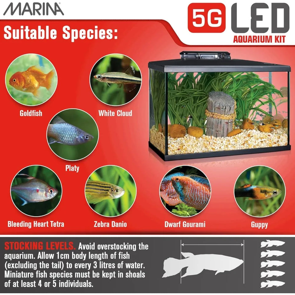 Beginner-Friendly 5 Gallon LED Aquarium Kit for New Fish Enthusiasts