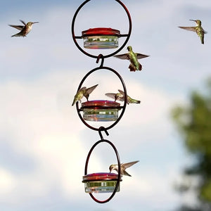 1pc//2pcs/3pcs Beautiful Hanging Hummingbird Feeder, Metal Bottle Humming Bird Feeder With Circular Metal Holder And Perch