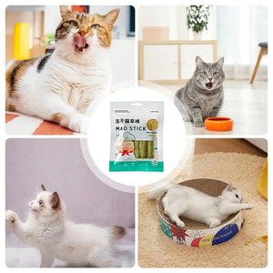 Cat Grass Teeth Grinding Stick Pet Snacks Hairball Removal Mild Hair Row Ready To Eat Baby Cat Teeth Cleaning Cat Grass Stick