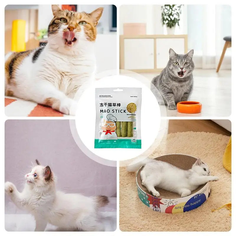 Cat Grass Teeth Grinding Stick Pet Snacks Hairball Removal Mild Hair Row Ready To Eat Baby Cat Teeth Cleaning Cat Grass Stick