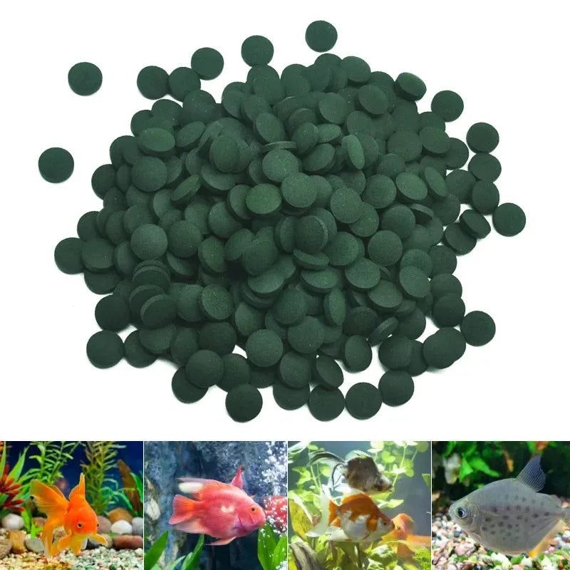 100/1500pc High Purity Spirulina Tablets Spiral Seaweed Enrichment Favorite Pets Food Fish Crystal Red Shrimp Fish Food Aquarium