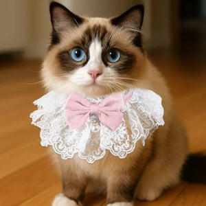 Cat Bow Collar Breakaway Kitten Collar with Cute Bow Tie Girl Cat Collars Cats Princess Costumes Pink Outfit for Kitty and Some