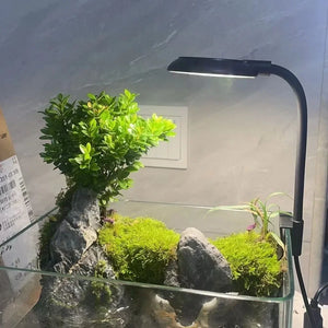 LED Fish Tank Clip Lamp 3 Colors Adjustable USB Power Led Full Spectrum Waterproof Lamp for Small fish tank Aquarium Lights