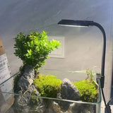 LED Fish Tank Clip Lamp 3 Colors Adjustable USB Power Led Full Spectrum Waterproof Lamp for Small fish tank Aquarium Lights