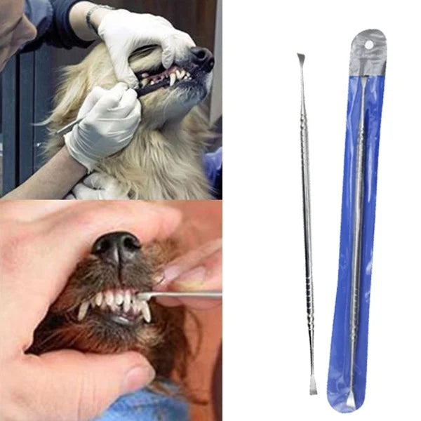 1pc Pet Tooth Clean Scraper Tartar Removal Dog Tooth Cleaning Cleaning Scraper Quick Cleaning Pet Dog Oral Tooth Scraper Tool