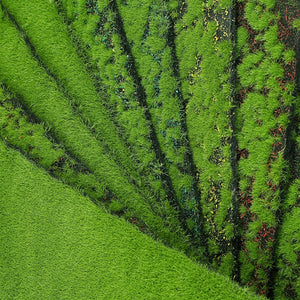 Artificial Plants Turf Moss Carpet Wall Turf Fake Green Grass Mat Decor For Home Floor Wedding Outdoor Garden Micro Landscape