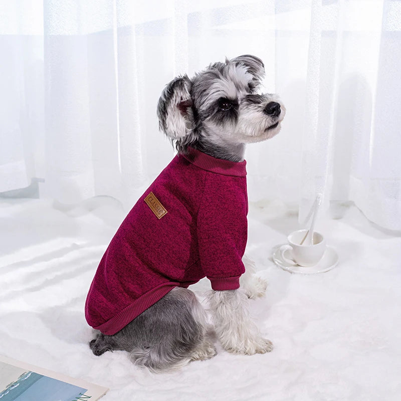 Pet Accessories Winter Dog Clothes for Small Dogs Warm Dogs Coat Schnauzer Pug Clothing Sweatshirts Casual Dog Cat Clothing