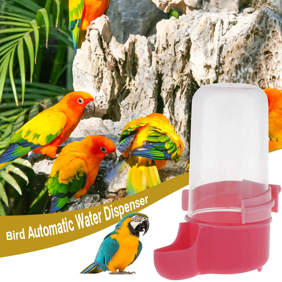 Automatic Bird Water Drinker Feeder Waterer Food Cup External Bird Food Box Bird Supplies And Bird Cage Accessories 200 Ml