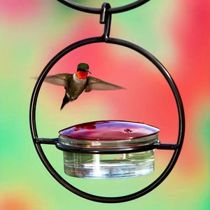 1pc//2pcs/3pcs Beautiful Hanging Hummingbird Feeder, Metal Bottle Humming Bird Feeder With Circular Metal Holder And Perch