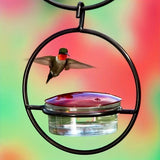 1pc//2pcs/3pcs Beautiful Hanging Hummingbird Feeder, Metal Bottle Humming Bird Feeder With Circular Metal Holder And Perch