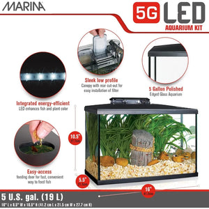 Beginner-Friendly 5 Gallon LED Aquarium Kit for New Fish Enthusiasts