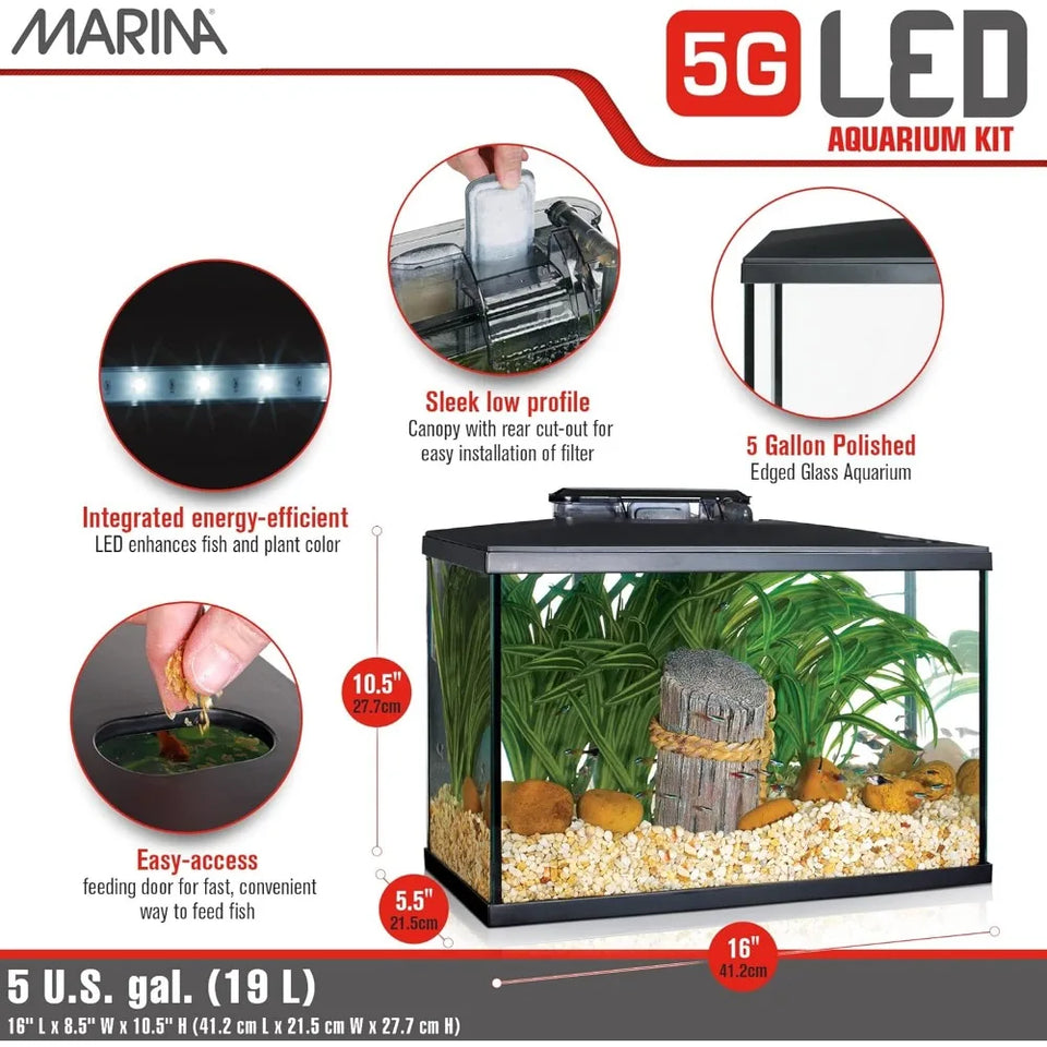 Beginner-Friendly 5 Gallon LED Aquarium Kit for New Fish Enthusiasts