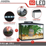 Beginner-Friendly 5 Gallon LED Aquarium Kit for New Fish Enthusiasts